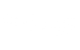  The Bus